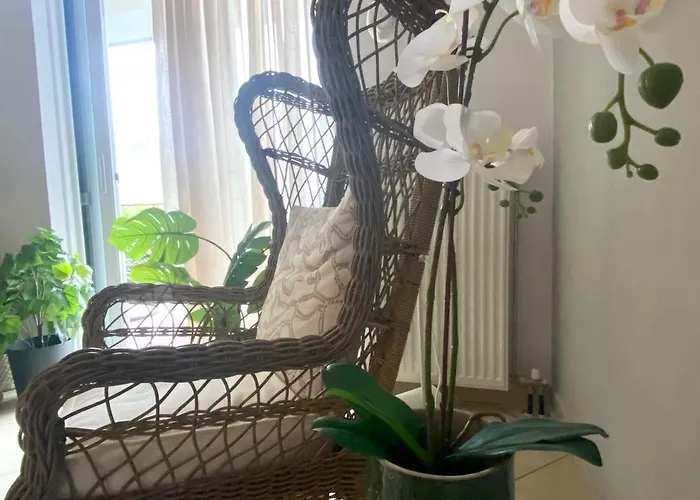 Addview 1 * 纳夫普利翁