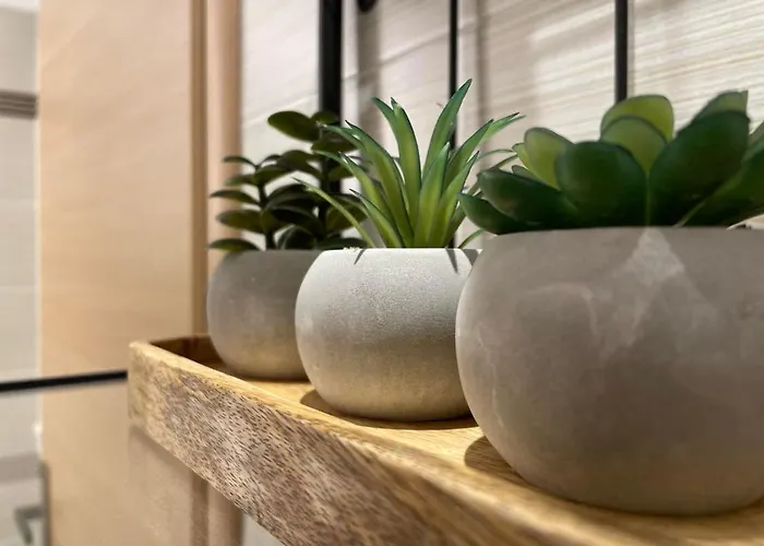 Addview 1 纳夫普利翁